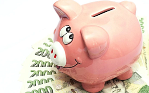 Členské příspěvky na rok 2026